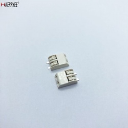 4.00mm Push-in CAGE SMD type 2060